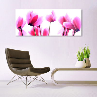 Glas schilderij Bloemen planten