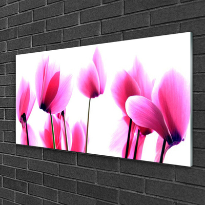 Glas schilderij Bloemen planten