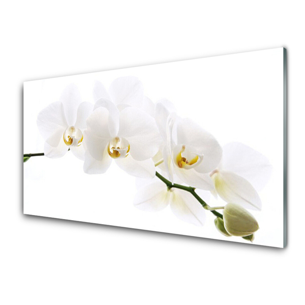 Glas schilderij Orchidee bloemen