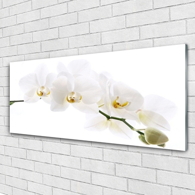 Glas schilderij Orchidee bloemen