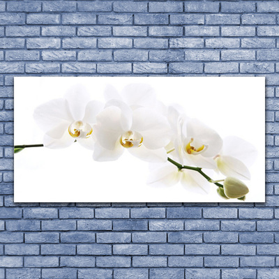 Glas schilderij Orchidee bloemen