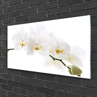 Glas schilderij Orchidee bloemen