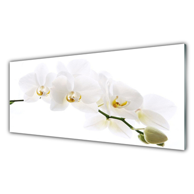 Glas schilderij Orchidee bloemen