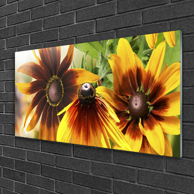 Glas schilderij Bloemen planten