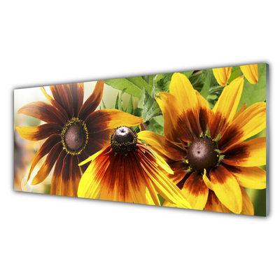 Glas schilderij Bloemen planten