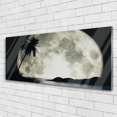 Glas schilderij Maan van de nacht landschap palm