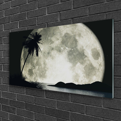 Glas schilderij Maan van de nacht landschap palm