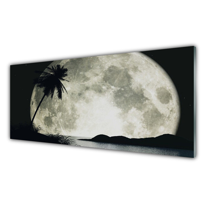 Glas schilderij Maan van de nacht landschap palm
