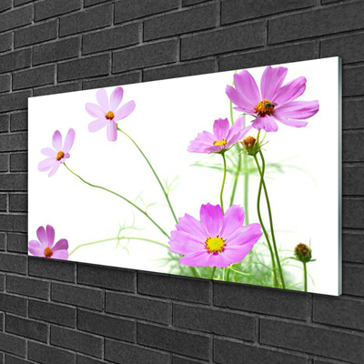 Glas schilderij Bloemen planten