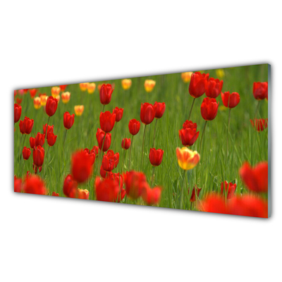Glas schilderij Planten tulpen