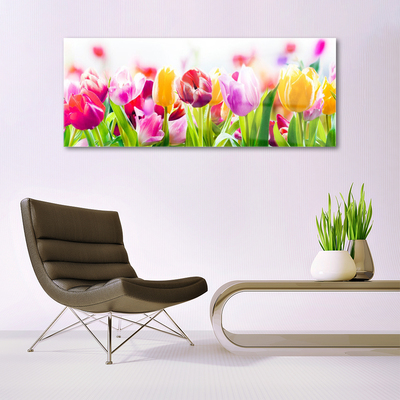 Glas schilderij Tulpen bloemen