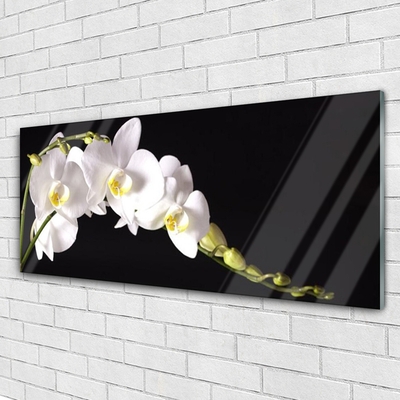 Glas schilderij Bloemen planten