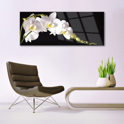 Glas schilderij Bloemen planten