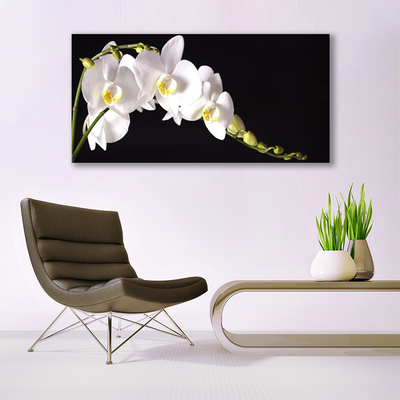 Glas schilderij Bloemen planten