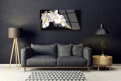 Glas schilderij Bloemen planten