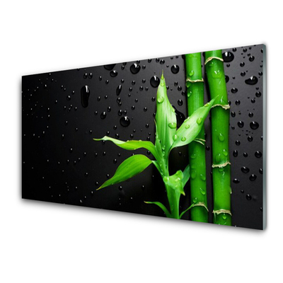 Glas schilderij Bladeren van het bamboe plant
