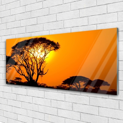 Glas schilderij Nature boom zon