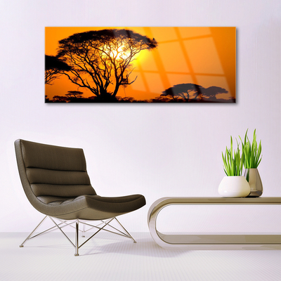 Glas schilderij Nature boom zon