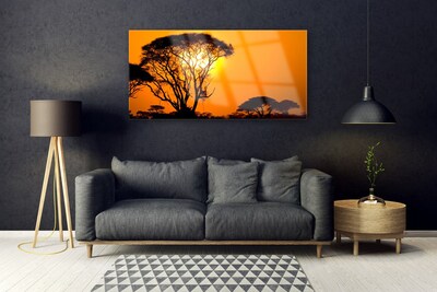 Glas schilderij Nature boom zon