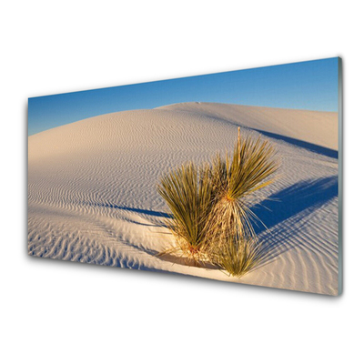 Glas schilderij Landschap van de woestijn van het zand