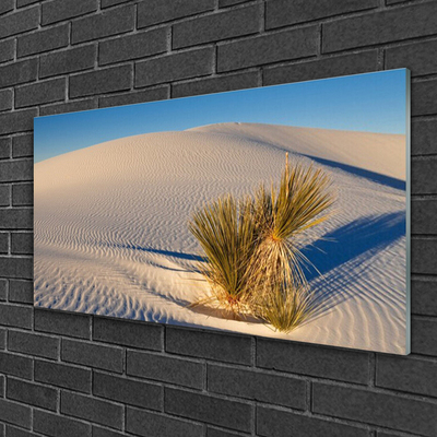 Glas schilderij Landschap van de woestijn van het zand