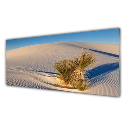 Glas schilderij Landschap van de woestijn van het zand