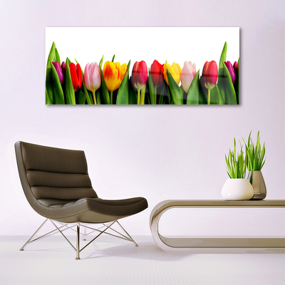 Glas schilderij Planten tulpen