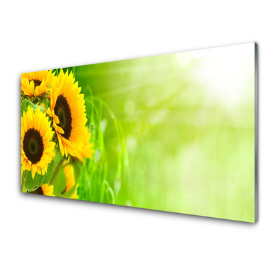 Glas schilderij Planten zonnebloemen