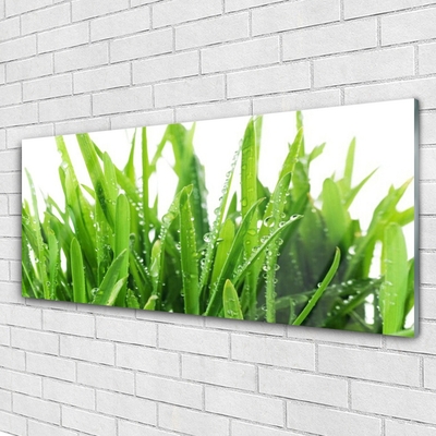 Glas schilderij Grasinstallatie