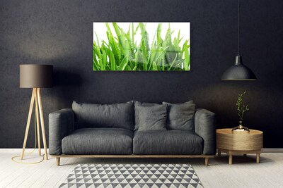 Glas schilderij Grasinstallatie