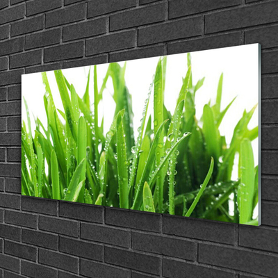 Glas schilderij Grasinstallatie