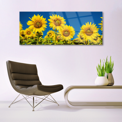 Glas schilderij Planten zonnebloemen