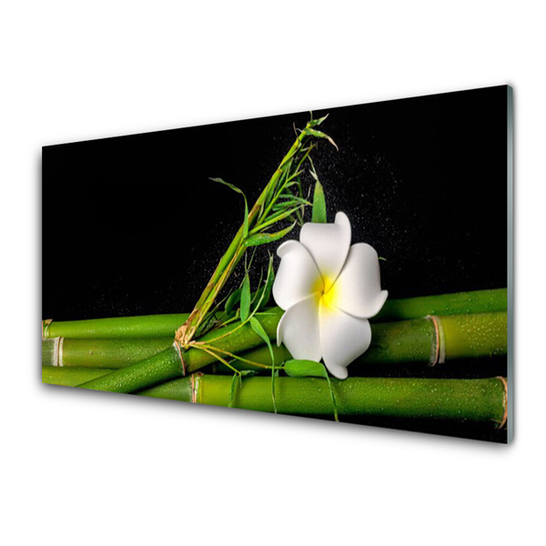 Glas schilderij Bamboo flower plant