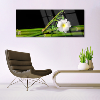 Glas schilderij Bamboo flower plant