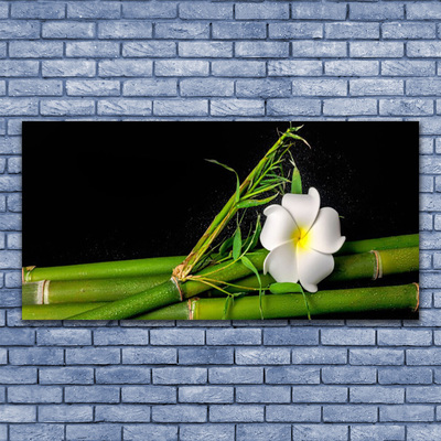 Glas schilderij Bamboo flower plant