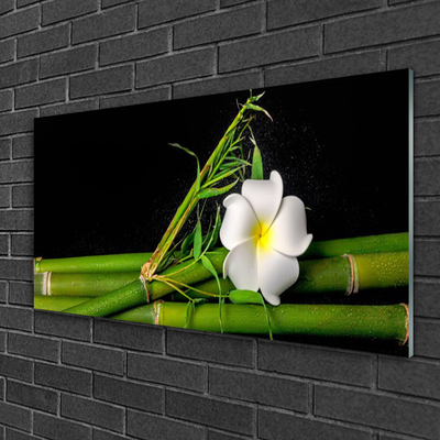 Glas schilderij Bamboo flower plant