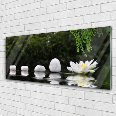 Glas schilderij Lotus flower waterlelie
