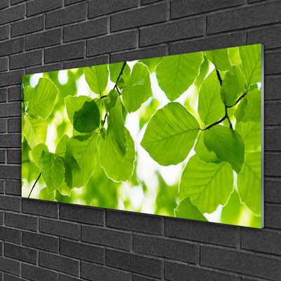 Glas schilderij Bladeren natuur plant