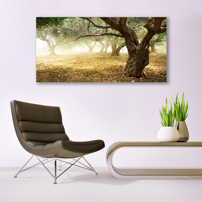 Glas schilderij Tree grass nature