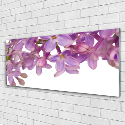 Glas schilderij Bloemen planten