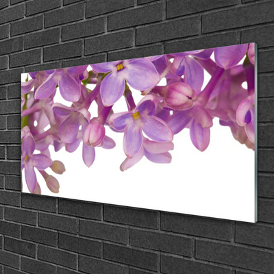 Glas schilderij Bloemen planten