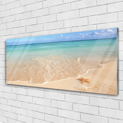 Glas schilderij Starfish strandlandschappen