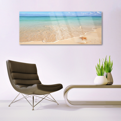 Glas schilderij Starfish strandlandschappen