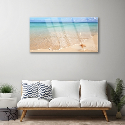 Glas schilderij Starfish strandlandschappen