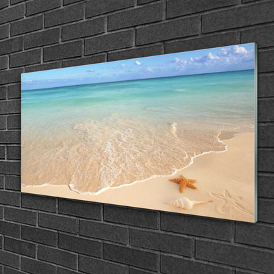 Glas schilderij Starfish strandlandschappen