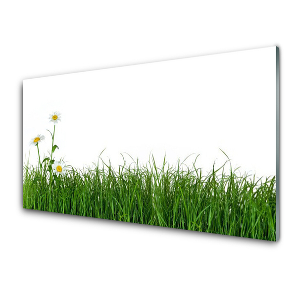 Glas schilderij Grass nature plant