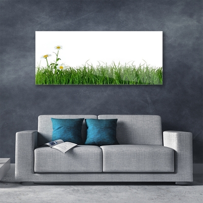 Glas schilderij Grass nature plant