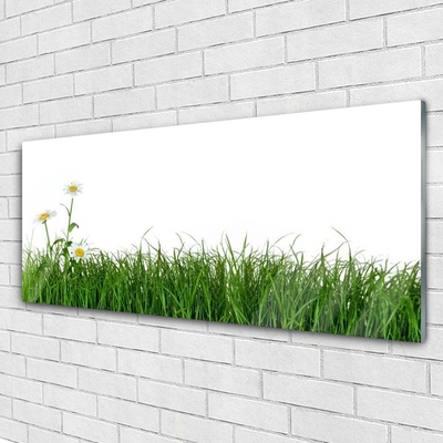 Glas schilderij Grass nature plant