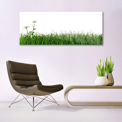 Glas schilderij Grass nature plant