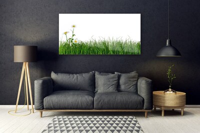 Glas schilderij Grass nature plant